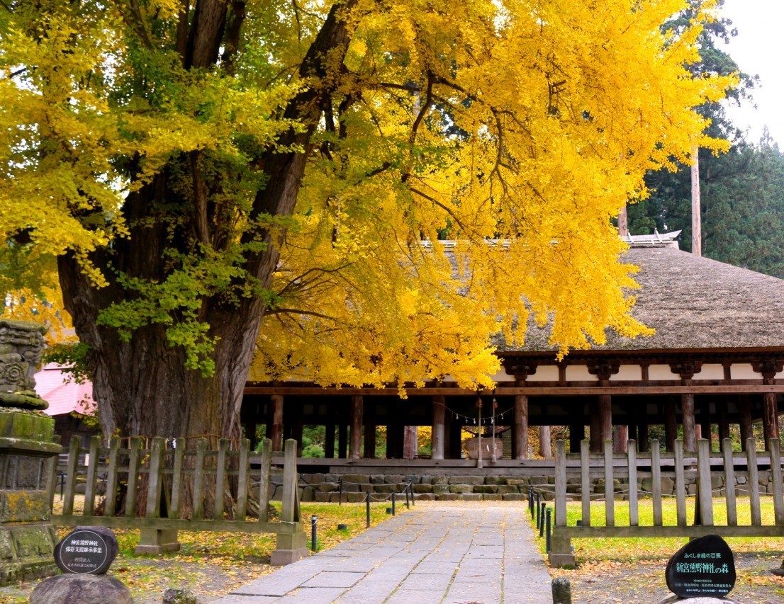 新宮熊野神社